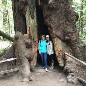 Meet your Posher, Wendy